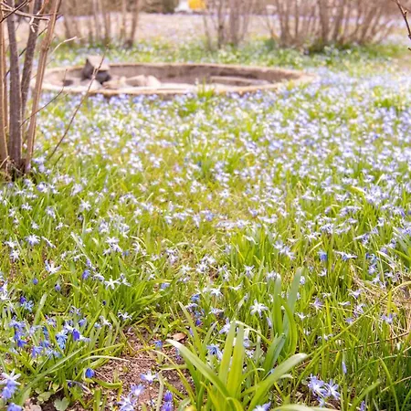 Pernice 度假居 弗里斯特